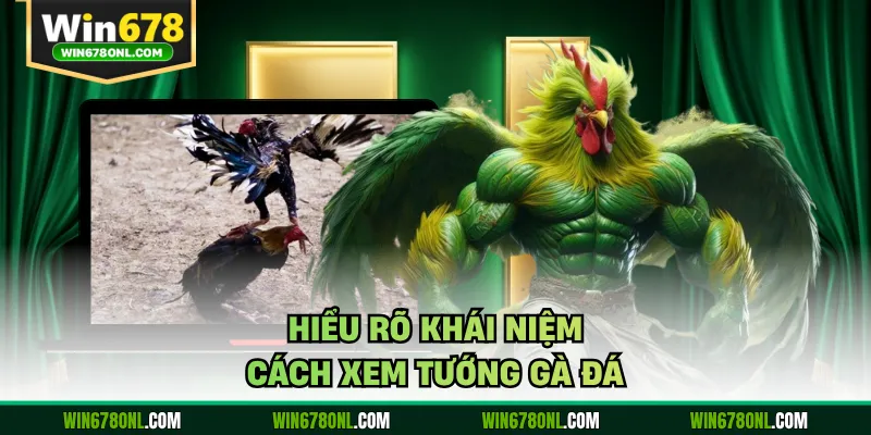 Hiểu rõ khái niệm cách xem tướng gà đá