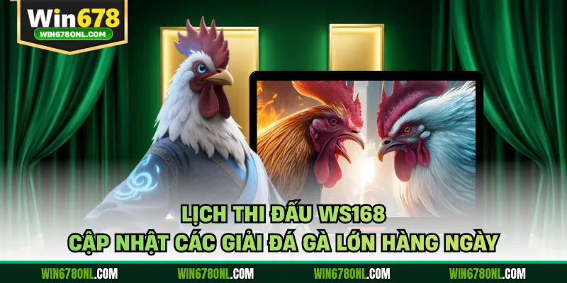 Lịch Thi Đấu WS168 - Cập Nhật Các Giải Đá Gà Lớn Hàng Ngày