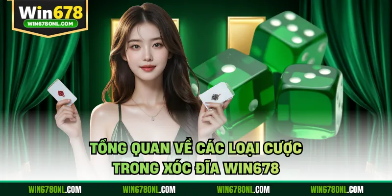Tổng quan về các loại cược trong xóc đĩa WIN678